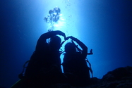 青の洞窟感動体験ダイビング＋お魚＆珊瑚礁ウォッチング
