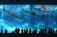 水族館