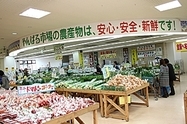 はい菜!やんばる市場