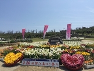 Array