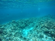 Array