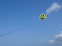 最高の上空散歩☆