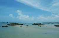 佐和田の浜